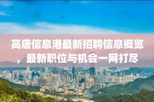 高唐信息港最新招聘信息概览，最新职位与机会一网打尽