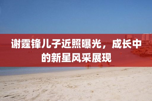 谢霆锋儿子近照曝光，成长中的新星风采展现