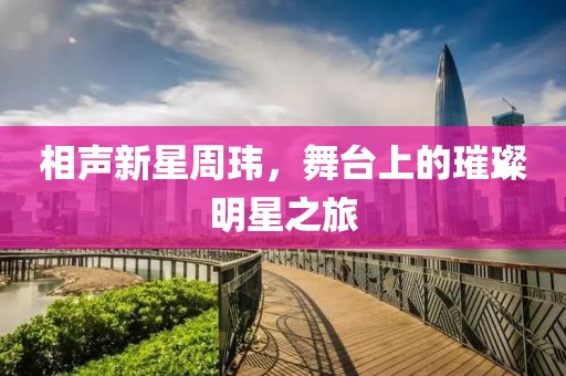 相声新星周玮，舞台上的璀璨明星之旅