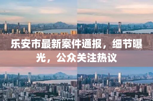 乐安市最新案件通报，细节曝光，公众关注热议