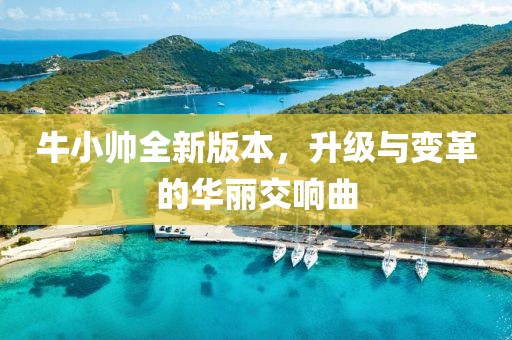 牛小帅全新版本，升级与变革的华丽交响曲