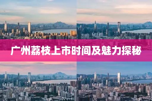 2024年12月 第37页