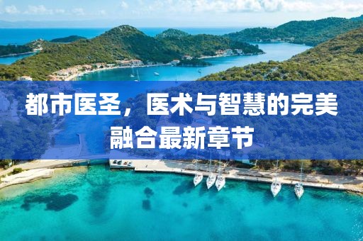 都市医圣，医术与智慧的完美融合最新章节