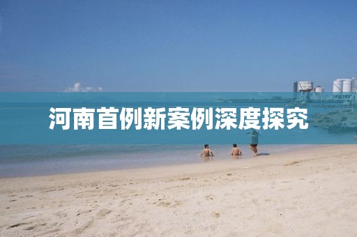 河南首例新案例深度探究