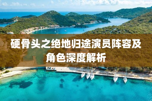 硬骨头之绝地归途演员阵容及角色深度解析