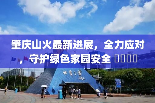 肇庆山火最新进展，全力应对，守护绿色家园安全 ​​​​