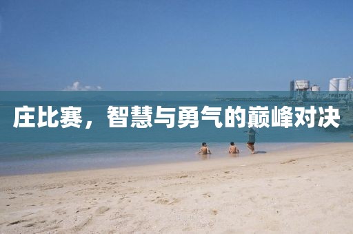 庄比赛，智慧与勇气的巅峰对决