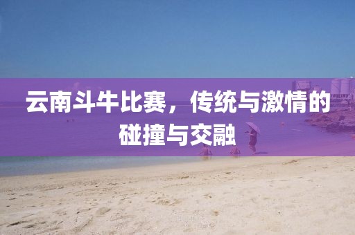 云南斗牛比赛，传统与激情的碰撞与交融