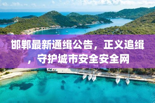 邯郸最新通缉公告，正义追缉，守护城市安全安全网