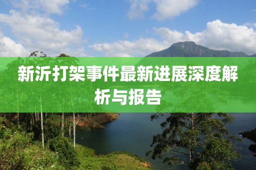 新沂打架事件最新进展深度解析与报告
