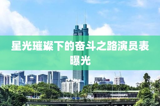 星光璀璨下的奋斗之路演员表曝光