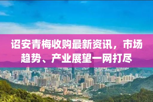诏安青梅收购最新资讯，市场趋势、产业展望一网打尽