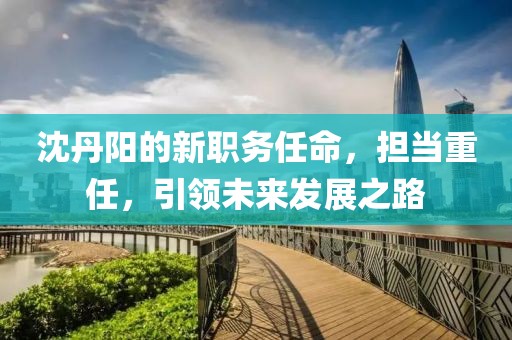沈丹阳的新职务任命，担当重任，引领未来发展之路