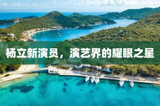 杨立新演员，演艺界的耀眼之星