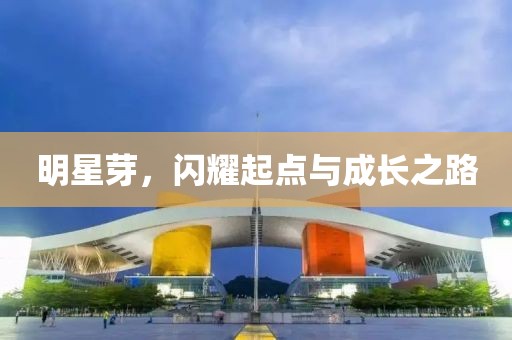 明星芽，闪耀起点与成长之路
