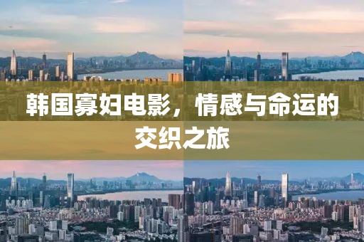 韩国寡妇电影，情感与命运的交织之旅