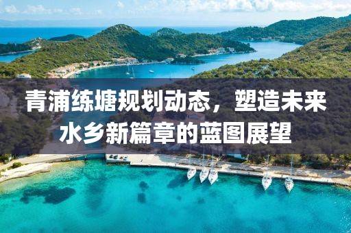 青浦练塘规划动态，塑造未来水乡新篇章的蓝图展望