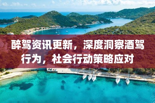 醉驾资讯更新，深度洞察酒驾行为，社会行动策略应对