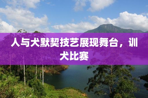 人与犬默契技艺展现舞台，训犬比赛
