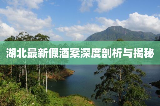 湖北最新假酒案深度剖析与揭秘