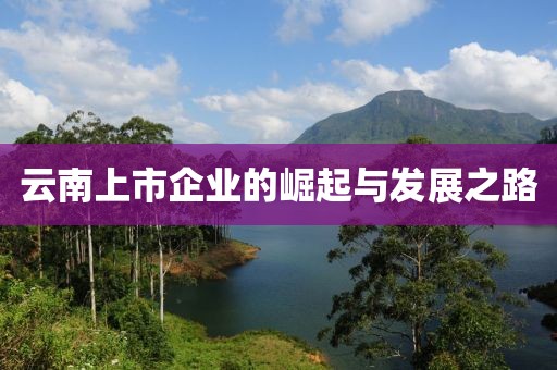 云南上市企业的崛起与发展之路