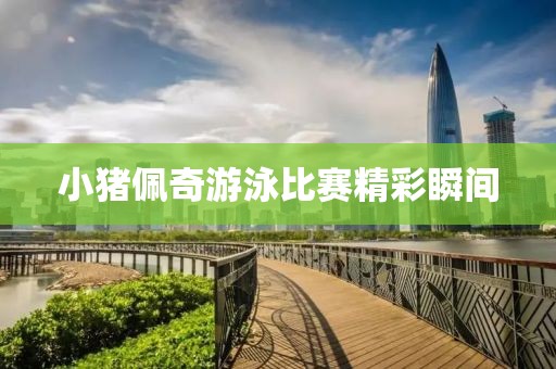 小猪佩奇游泳比赛精彩瞬间
