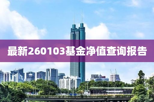 最新260103基金净值查询报告