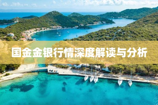 国金金银行情深度解读与分析