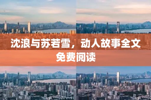 沈浪与苏若雪，动人故事全文免费阅读