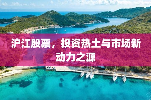 沪江股票，投资热土与市场新动力之源
