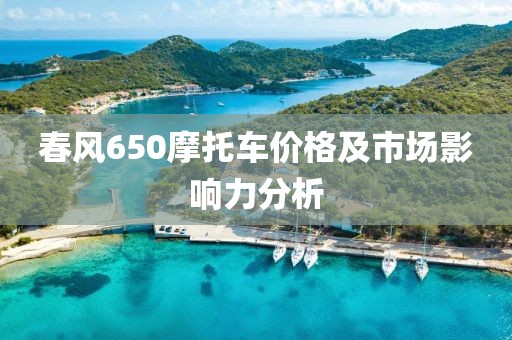 春风650摩托车价格及市场影响力分析