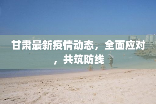 甘肃最新疫情动态，全面应对，共筑防线