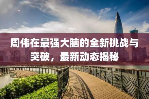 周伟在最强大脑的全新挑战与突破，最新动态揭秘