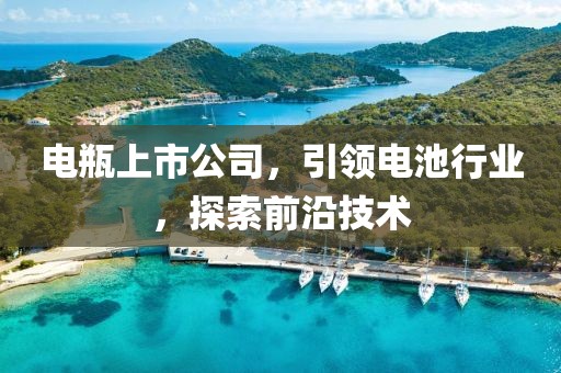 电瓶上市公司，引领电池行业，探索前沿技术
