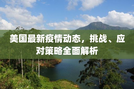 美国最新疫情动态，挑战、应对策略全面解析