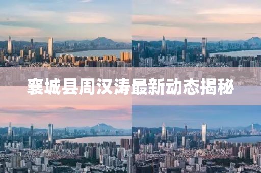 襄城县周汉涛最新动态揭秘