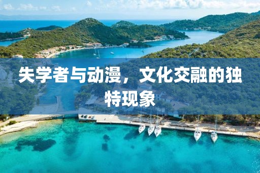 失学者与动漫，文化交融的独特现象