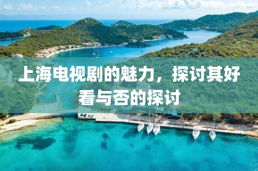 上海电视剧的魅力，探讨其好看与否的探讨