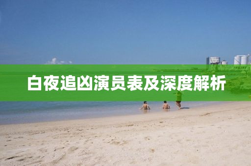 白夜追凶演员表及深度解析