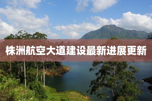 株洲航空大道建设最新进展更新
