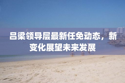 吕梁领导层最新任免动态，新变化展望未来发展