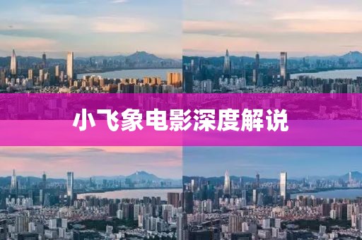小飞象电影深度解说