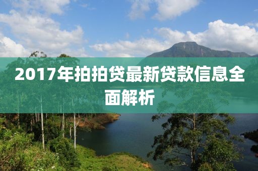 2017年拍拍贷最新贷款信息全面解析