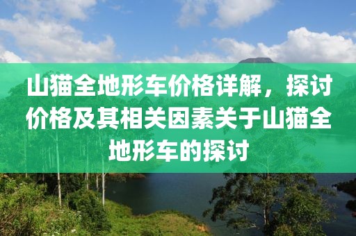 山猫全地形车价格详解，探讨价格及其相关因素关于山猫全地形车的探讨