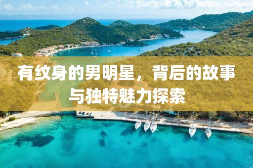 有纹身的男明星，背后的故事与独特魅力探索