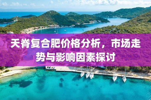 天脊复合肥价格分析，市场走势与影响因素探讨