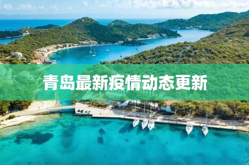 青岛最新疫情动态更新