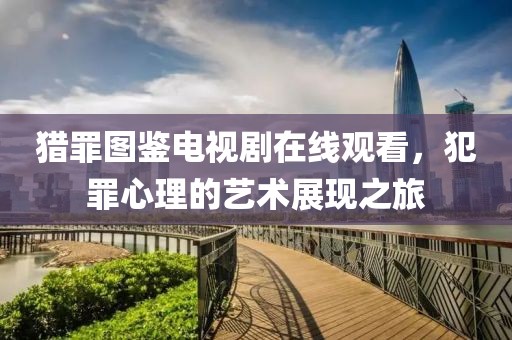 猎罪图鉴电视剧在线观看，犯罪心理的艺术展现之旅