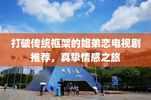 打破传统框架的姐弟恋电视剧推荐，真挚情感之旅