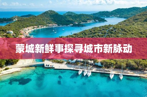 蒙城新鲜事探寻城市新脉动